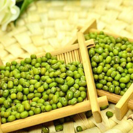 Supply Argentina Green Mung Green Beans