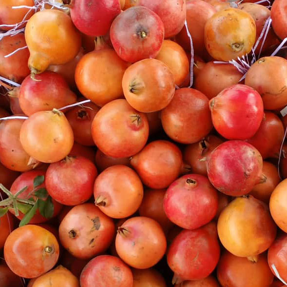 Supply Uganda Fresh Fruit Pomegranate 