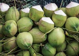 Imported Coconut