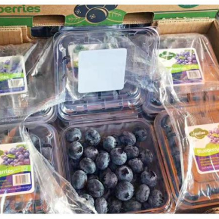 Wholesale import of blueberries, fresh blueberries, O'Neill blueberries, fruits, Peru