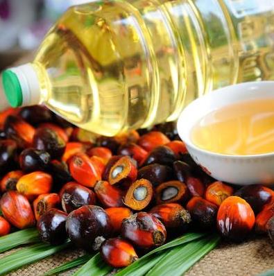 Purchase 100 barrels of palm oil