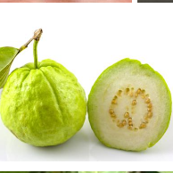 GUAVA FRUIT from Viet Nam/GUAVA