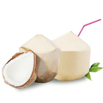 Purchase Imported Coconut 