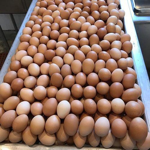 Brown And White Farm Fresh Chicken table Eggs 