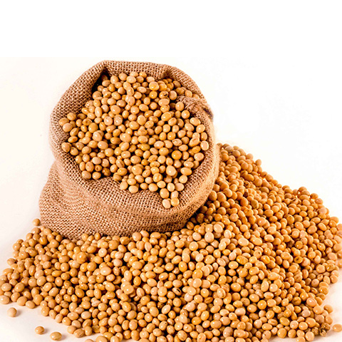 Purchase Imported Soybean, Non-GMO Soybean