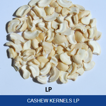 Inerimex Cashew Archives