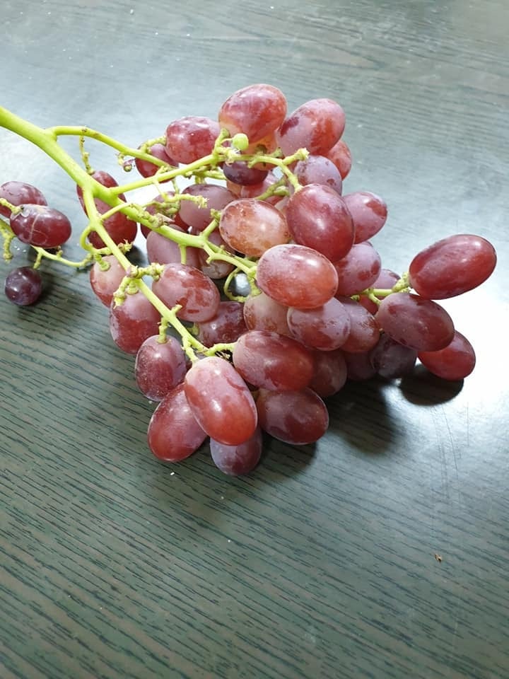Supply fresh grapes available with high quality and competitive price 