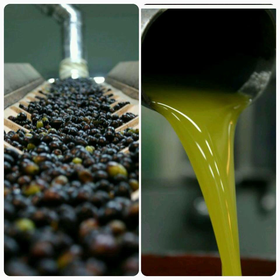 EXTRA VIRGIN OLIVE OIL FROM ORGANIC FARMING Cold Extraction -  Monocultivar PECHOLIN-  Francesco De Padova, Cantina Bosco, 100% Italy, condiments