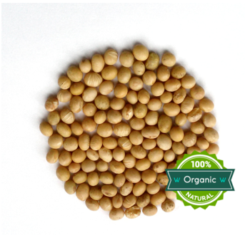 Organic soybean seed for sale 