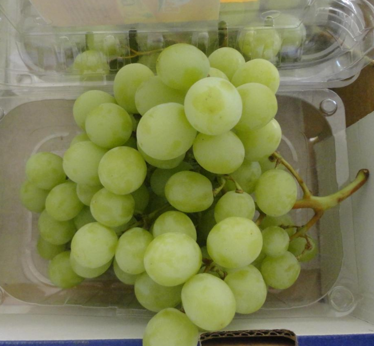 GRAPES White  FROM EGYPT  CONTACT US FOR BEST OFFER 