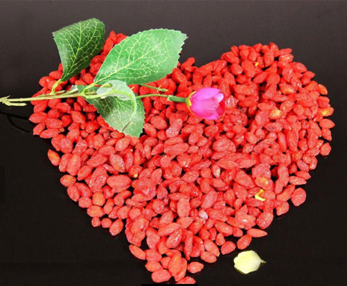 Delicious hot-sale red dried goji berry