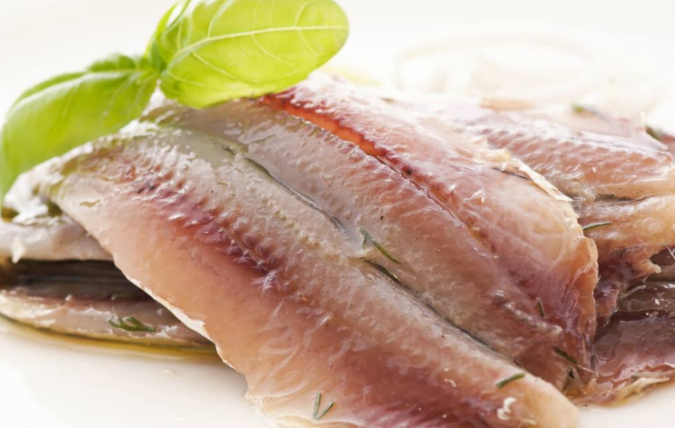 Buy herring slices from Northern Europe Belgium (bonholm fillet)