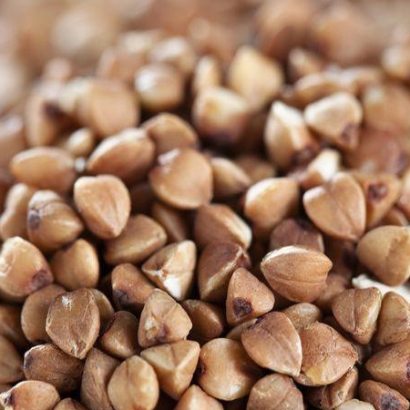 Buckwheat,Buckwheat grain, groats,cereal grains,Ukraine
