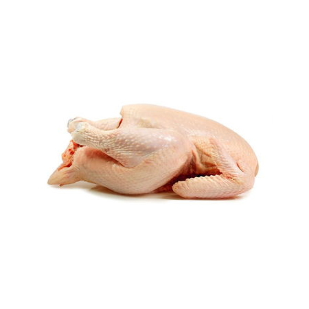 Export of Uzbekistan chicken and other meat products