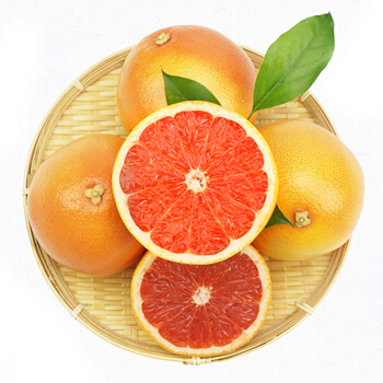 Purchase Imported Grapefruit (South Africa)