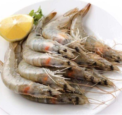 Supply 477 South American white shrimp 50-60