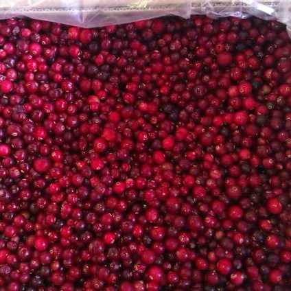 Russian forest wild berries