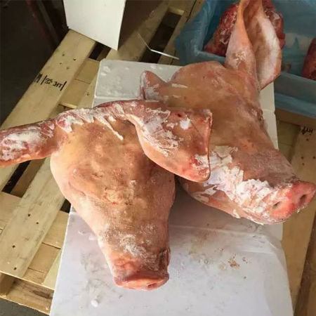 Buy imported pig head, Dutch 194 factory, color white, less hair, big ears