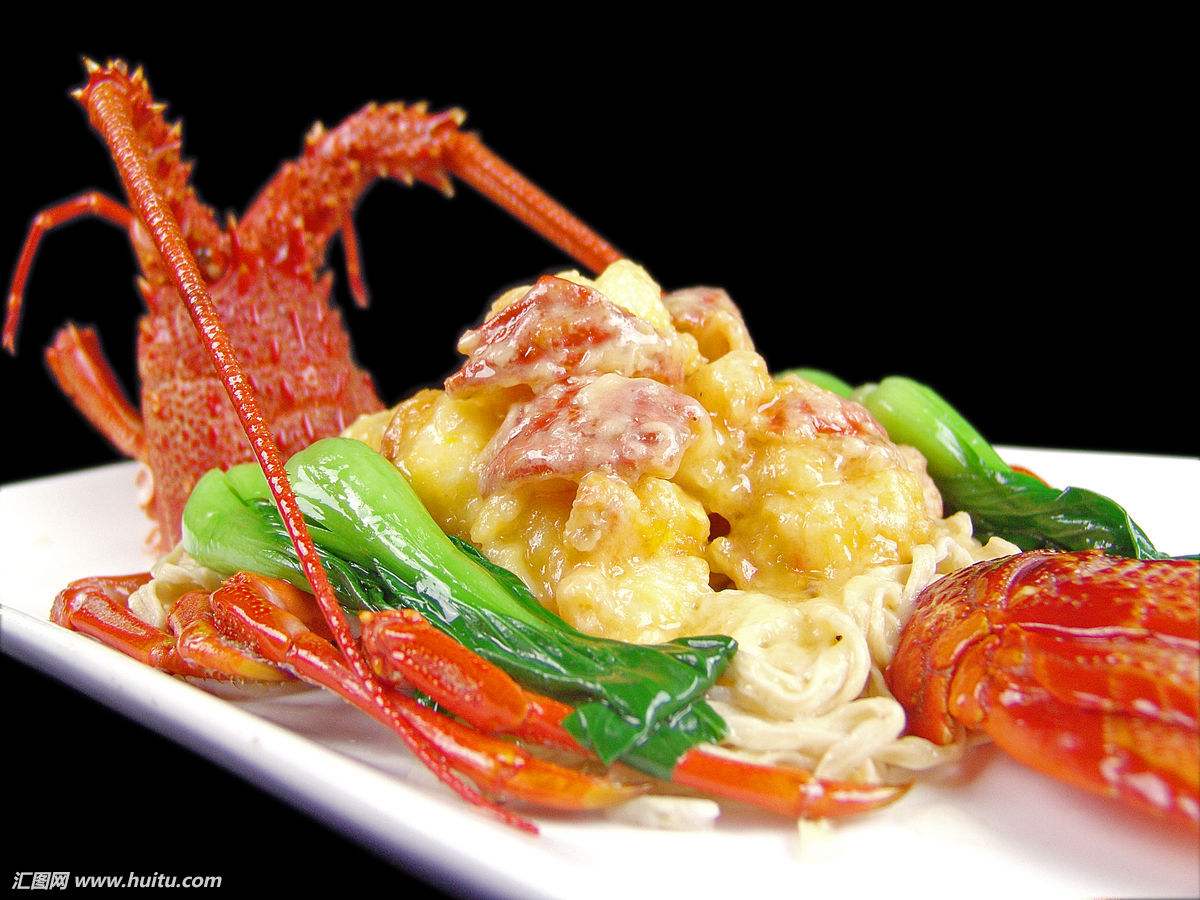 Frozen Fresh Live Lobster - Alive Lobster For Hong Kong - Malaysia - Thailand - China