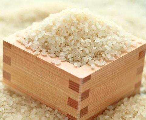 High Quality Japan Rice