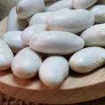 White Kidney Beans Indian type