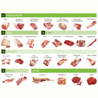 Chilled or frozen THOMAS FOODS LAMB Meat,Halal-slaughtered lamb cuts and products