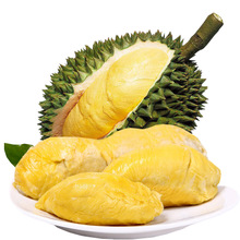 High Qualified Durian