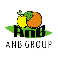 ANB GROUP|Fresh Egyptian Citrus Lemon Fruit