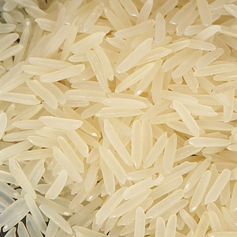Supply 1509 Basmati Rice