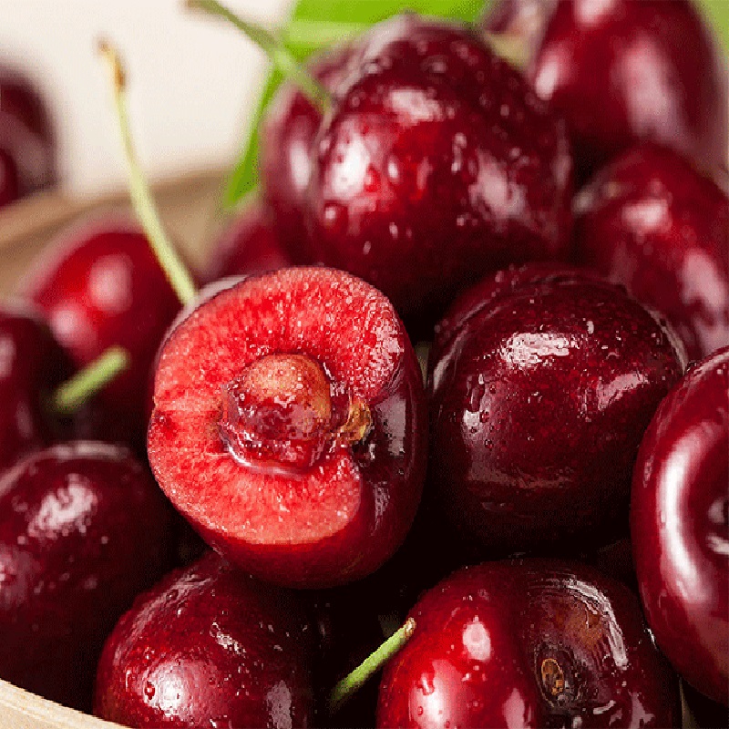 Fresh Dark Red Cherries Sour Cherries/ Sweet Cherries