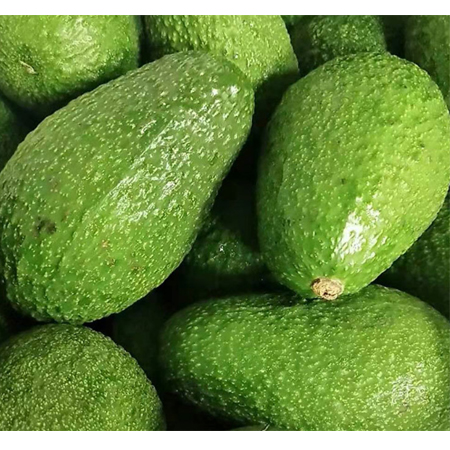 Supply of imported avocado, avocado, fruit, edible agricultural products, Mexico