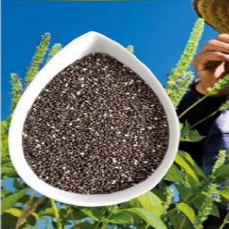 Supply of chiya seeds, imported Kiwi seeds, food ingredients, Mexico, Weiqing