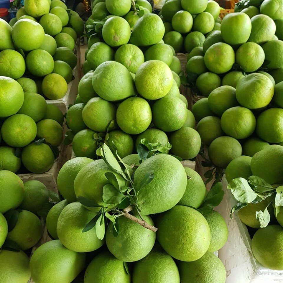 Vietnamese Fresh Sweet  Polemo Fruit