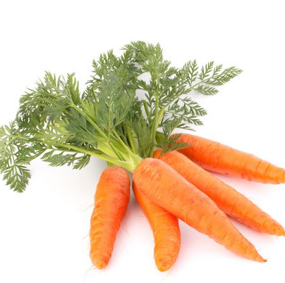 Sourcing Fresh Carrot