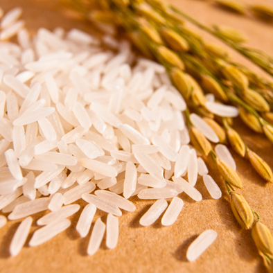Purchase Rice from Thailand / Cambodia