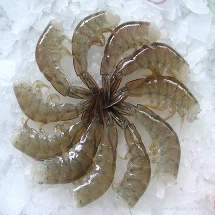 Frozen Vanamei Shrimp