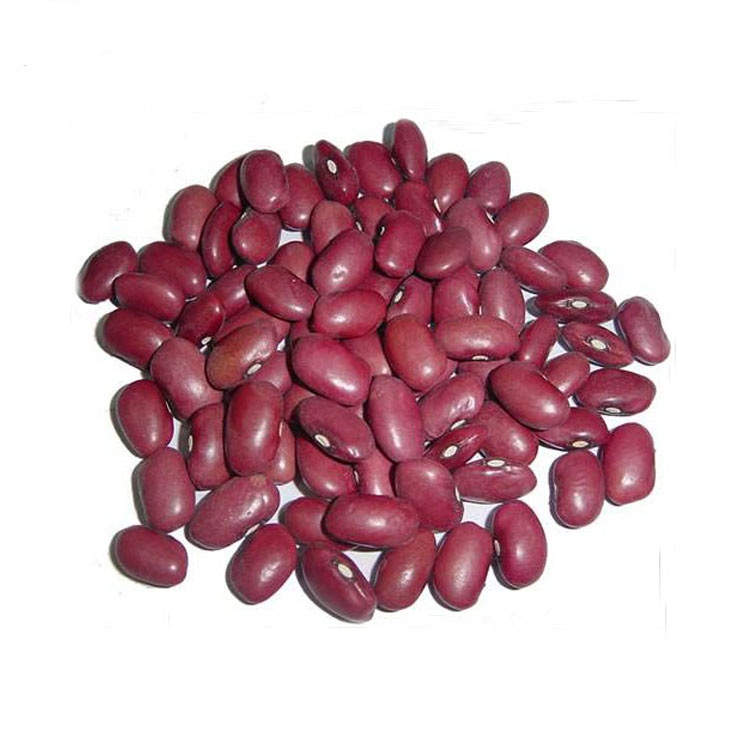 AFood wholesale cook dried small dried red kidney beans