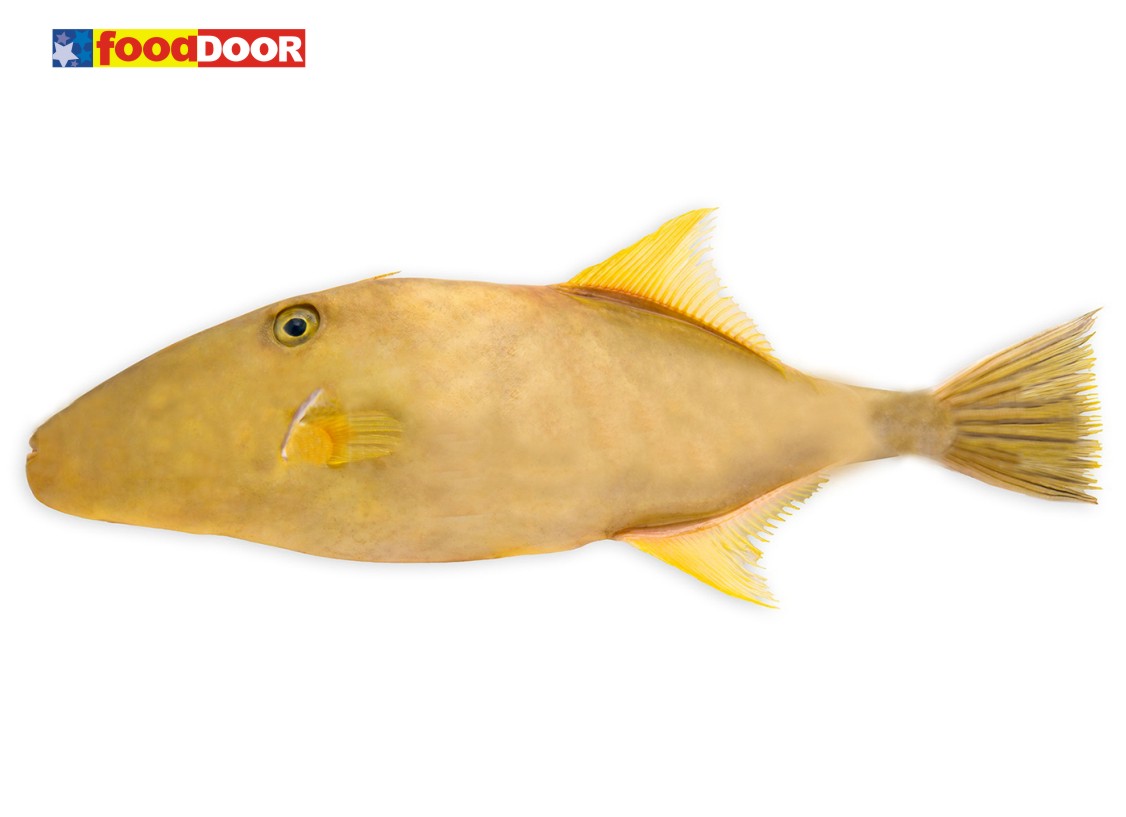 Golden Peeled Fish