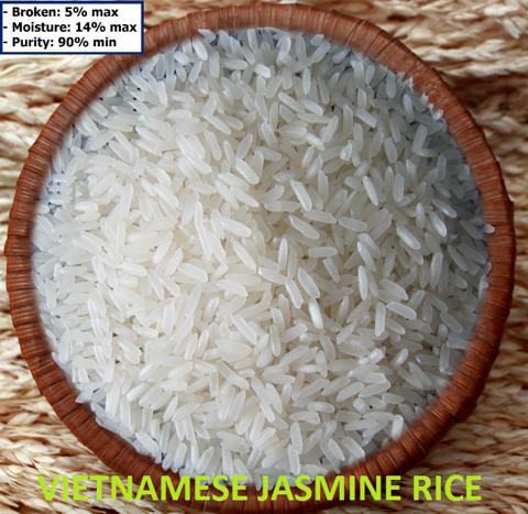 Supply Vietnam jasmine rice 