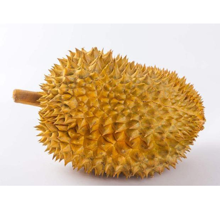 Buy frozen durian, Thailand durian, imported fruit