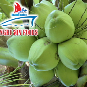 FRESH YOUNG COCONUT