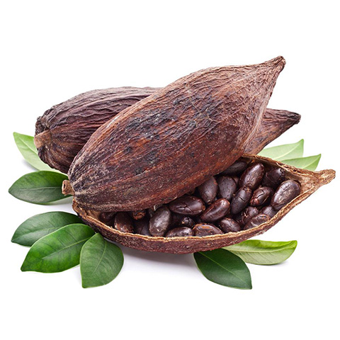 Purchase West Africa, Ghana Cocoa Beans 