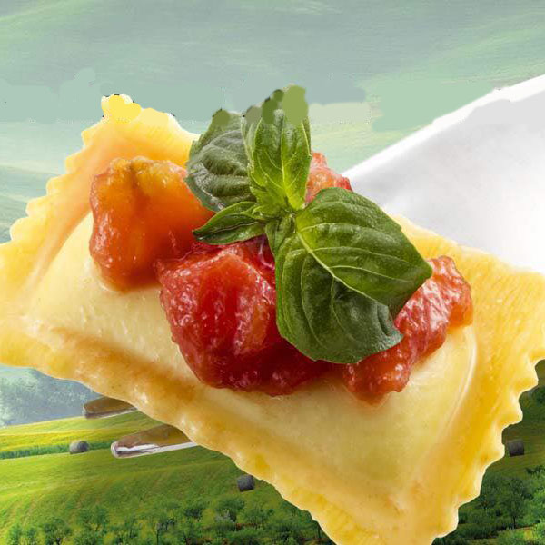 Italian Cannelloni with different flavors, frozen pasta