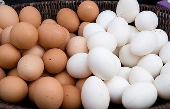 Buy Fresh White Eggs