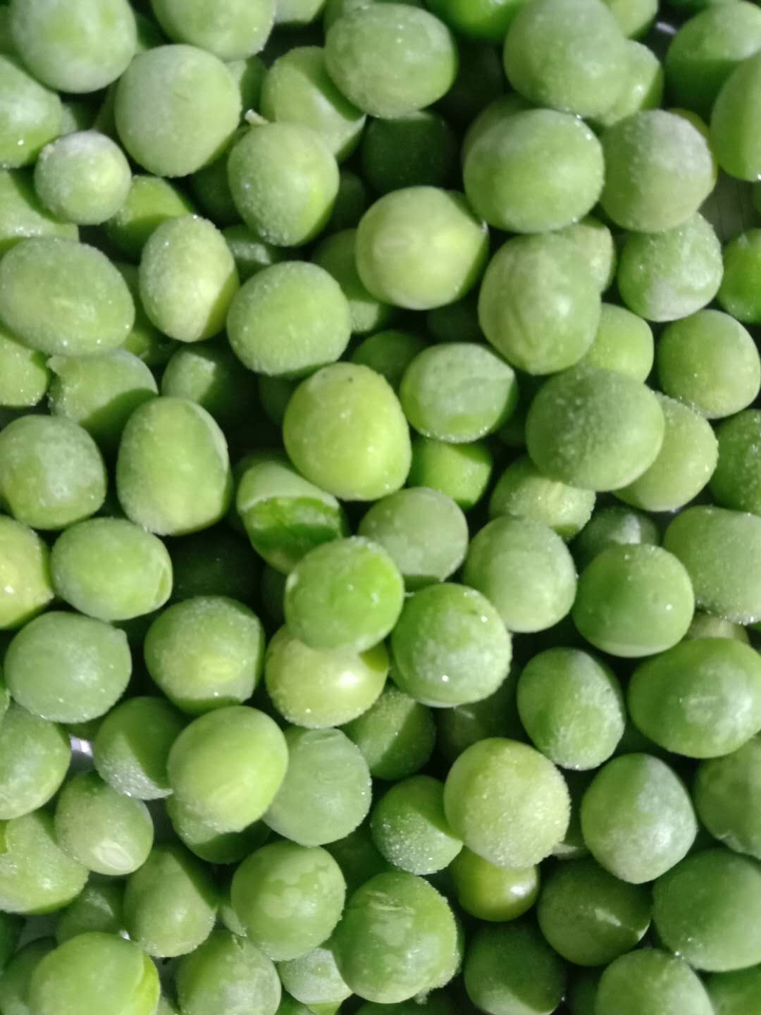A.IQF Frozen Green Peas