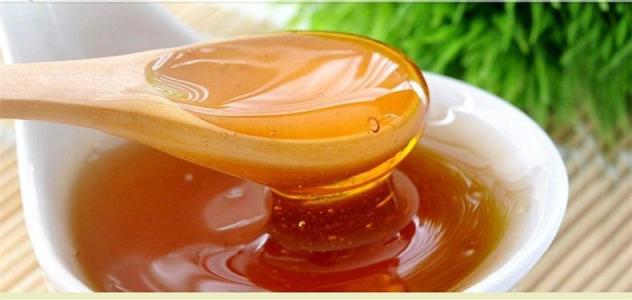 Hot Sale Discount 100% Pure Honey Product Royal Jelly