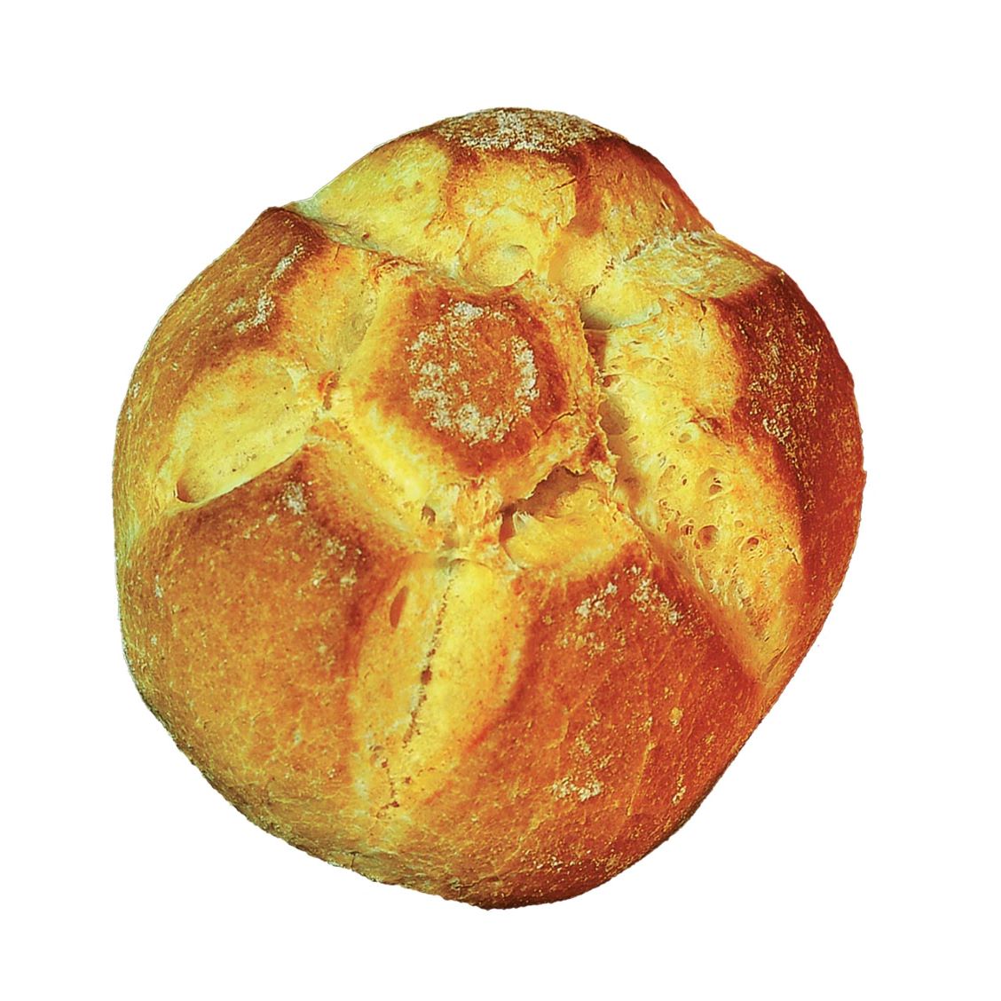 Bake-At-Home Rosetta bread rolls with durum wheat semolina 50gX10