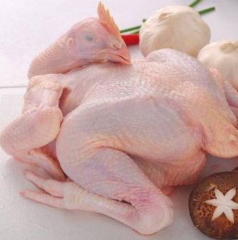 Purchase imported white striped chicken