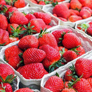 Supply Dubai Strawberry Fruit