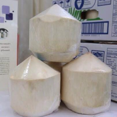 High Quality Coconut (Thailand)